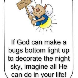 Meet your Posher, Shea